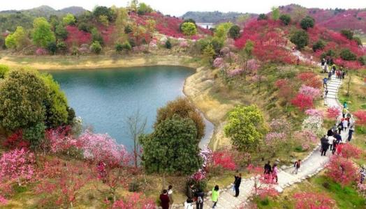 庐山西海花千谷景区